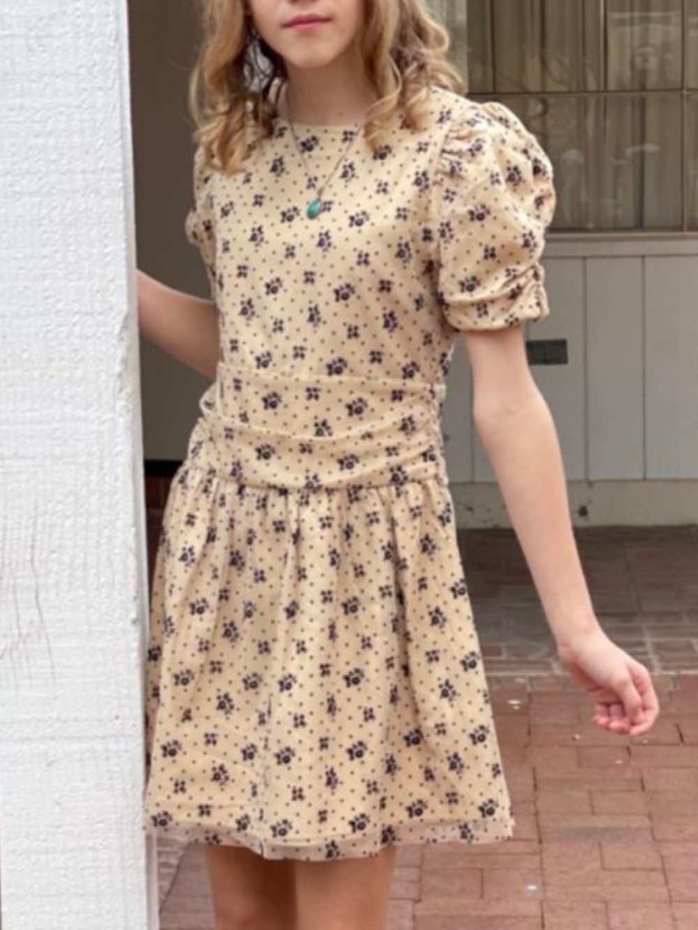 Janie and Jack Floral Dot Flocked Dress Size 16